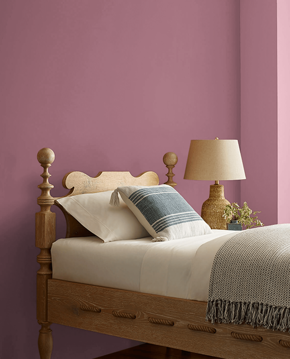 Moss Rose SW 6291 | Red Paint Colors | Sherwin-Williams