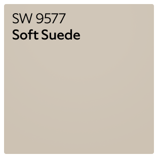 A Sherwin-Williams Color Chip for Pure White SW 7005.